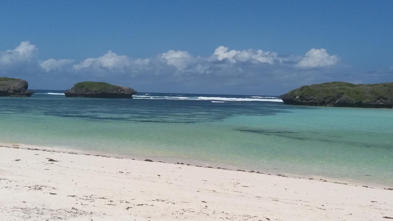 Bed and Breakfast Nyumba Ya Afrika Watamu Zewnętrze zdjęcie