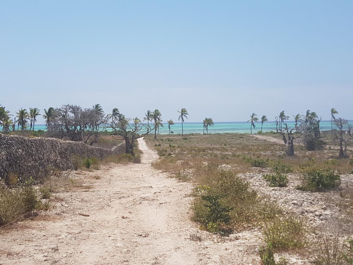 Bed and Breakfast Nyumba Ya Afrika Watamu Zewnętrze zdjęcie
